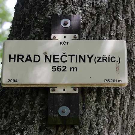 Zamek * Nectiny